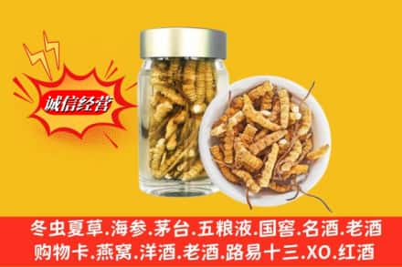 济南市中区回收散虫草