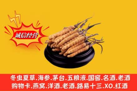 济南市中区名酒回收冬虫夏草.jpg